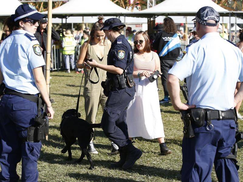 More than 35,000 people attended the second day of Splendour in the Grass.
