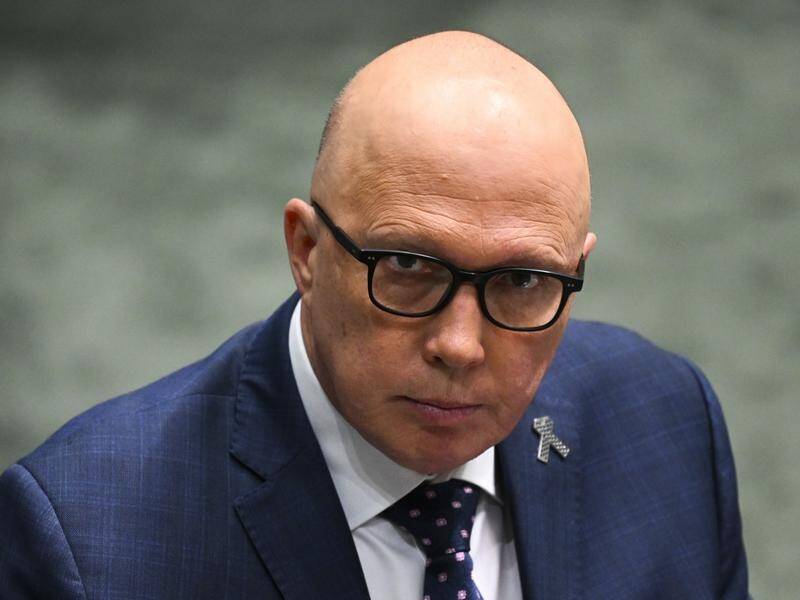 Peter Dutton says Australians need more detail on the proposed Indigenous voice to parliament. (Lukas Coch/AAP PHOTOS)