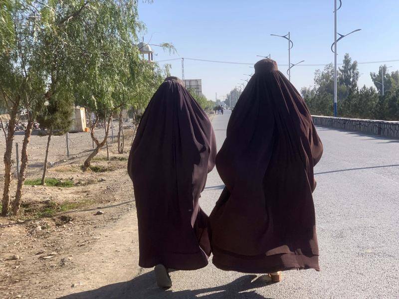 In its latest crackdown on freedoms, Afghanistan's Taliban rulers say NGOs must not employ women. (EPA PHOTO)
