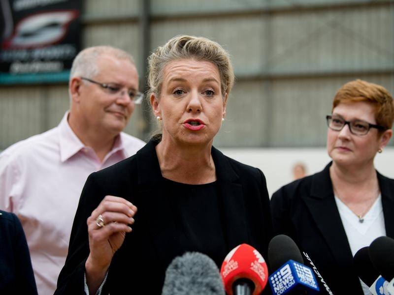 Nationals' deputy Bridget McKenzie has welcomed a boost to the party's female ranks.