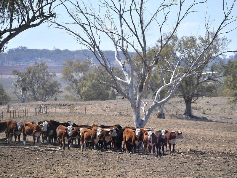 A Victorian shire missed out on $1m in drought funding due to a 0.1 per cent shortfall in criteria.