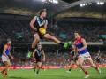 Zak Butters has hit great heights on the way to his 100th AFL game milestone. (Matt Turner/AAP PHOTOS)