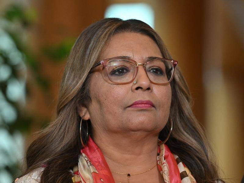 Mehreen Faruqi is suing the One Nation leader, alleging she breached the Racial Discrimination Act. (Mick Tsikas/AAP PHOTOS)