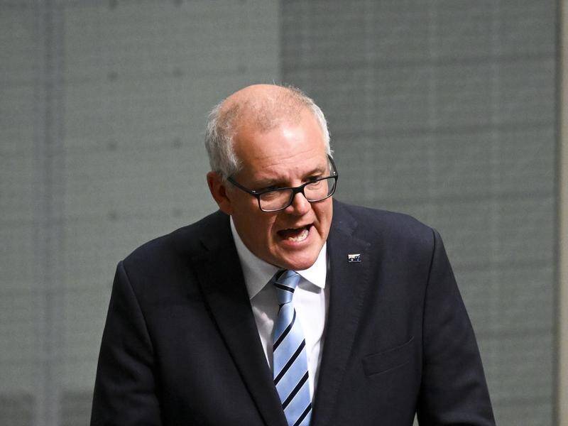 The Greens have asked for Scott Morrison to be referred to parliament's privileges committee. (Lukas Coch/AAP PHOTOS)