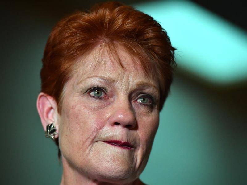 Pauline Hanson says journalistic credentials need to be toughened up.
