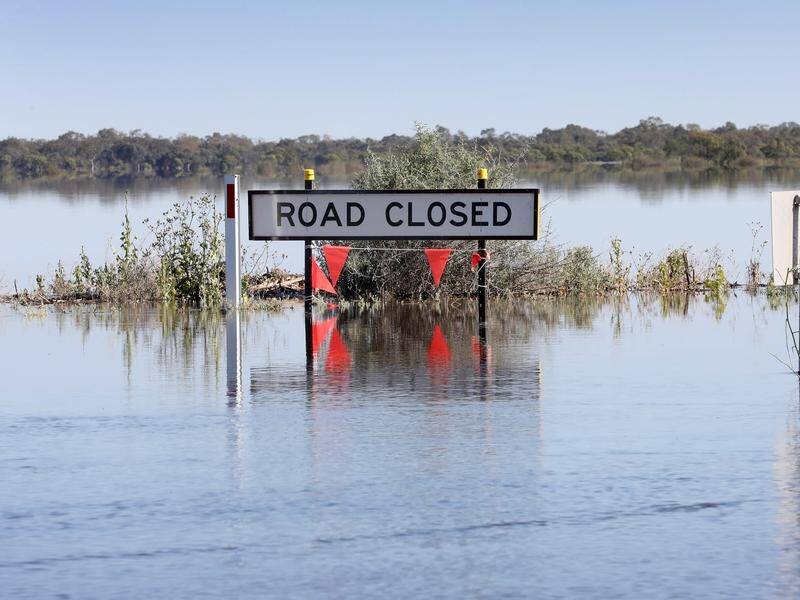 A levee has spilled over in far west NSW, while Murray River floods in SA continue. (Dean Martin/AAP PHOTOS)