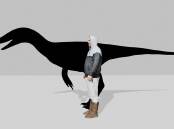 A six-foot-tall human would come up to the hip of a raptor dinosaur species called Troodontids. (Supplied/AAP PHOTOS)
