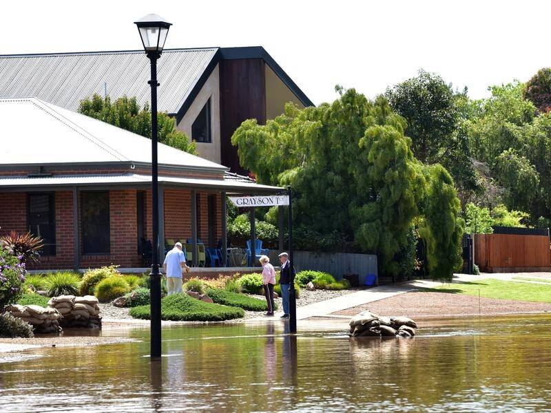 Evacuation warnings are in place for Echuca and other towns along the swollen Murray River. (Brendan McCarthy/AAP PHOTOS)