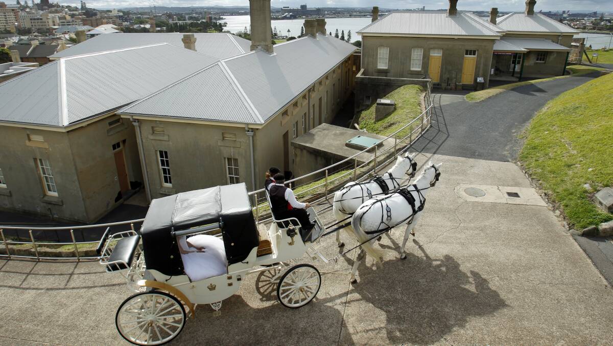 CARRIAGES: Horse-drawn carriages are also subject to the same regulations as other road users. Photo: Max Mason-Hubers