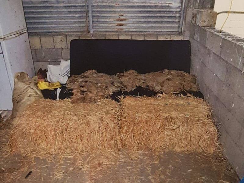 The South Australian pig shed where a European backpacker was chained up and raped over two days.