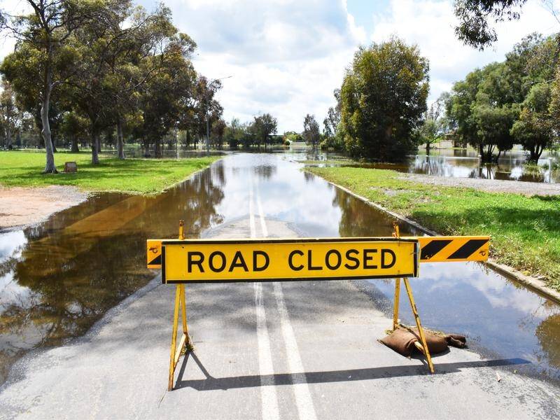 After a reprieve from the rain at the weekend, the wet weather is set to return to NSW. (Murray McCloskey/AAP PHOTOS)