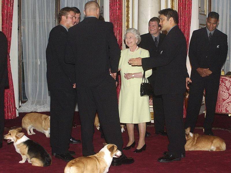 The Queen's corgis were present when she met the New Zealand All Blacks rugby team in 2002. (AP PHOTO)