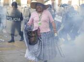 Hundreds of protesters have taken to the streets of Peru's capital Lima, facing police and tear gas. (AP PHOTO)