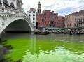 Venice's Grand Canal near the Rialto Bridge has turned fluorescent green. (AP PHOTO)