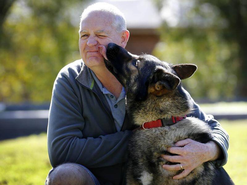 Zag the dog congratulates Timothy Brown on his latest bravery award for a car crash rescue. (DARREN PATEMAN)