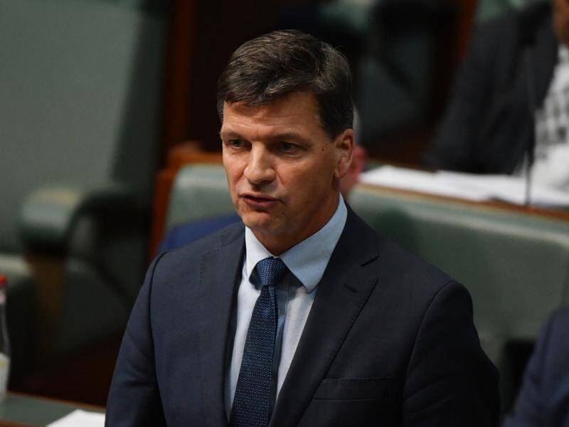 Energy Minister Angus Taylor says ruling out technologies is the wrong thing to do.