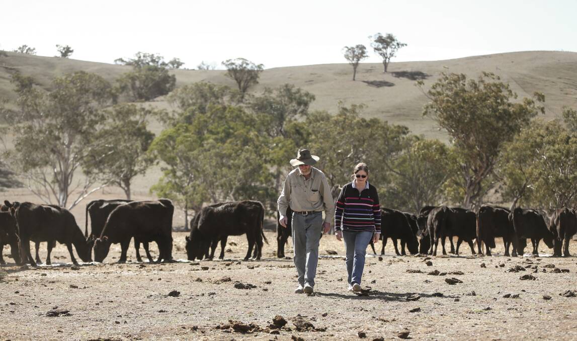 Struggling: Bill and Nicole Hannah say there will be no animals left on their property near Gundy if the drought doesn't break before Christmas. Picture: Marina Neil