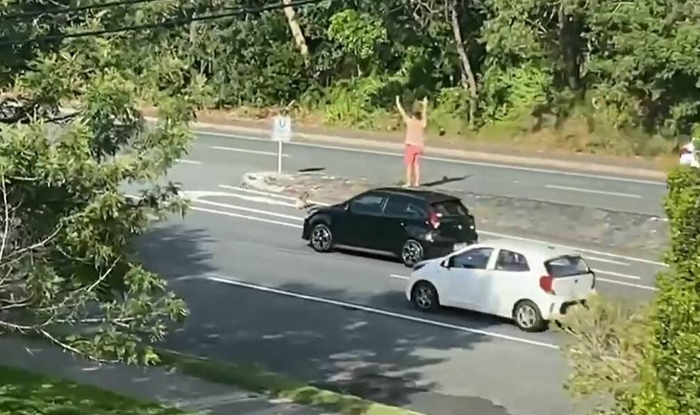 Irishman Will Thornton walked out onto the busy four-lane Gold Coast Highway at Burleigh Heads, to help a koala safely cross the road on Thursday, January 12, 2023. Picture by Katrina Boyle
