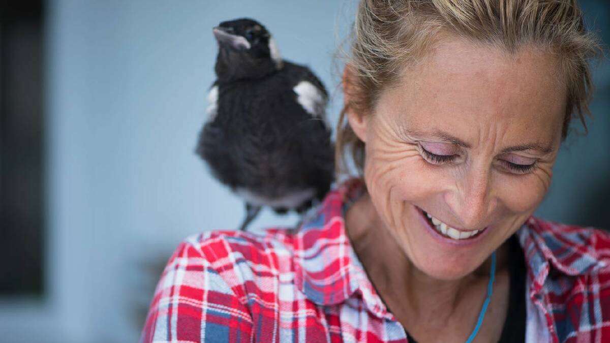 Sam Bloom with Penguin the magpie. The bird who came into her life and changed it dramatically. Picture by Sam Bloom/Facebook