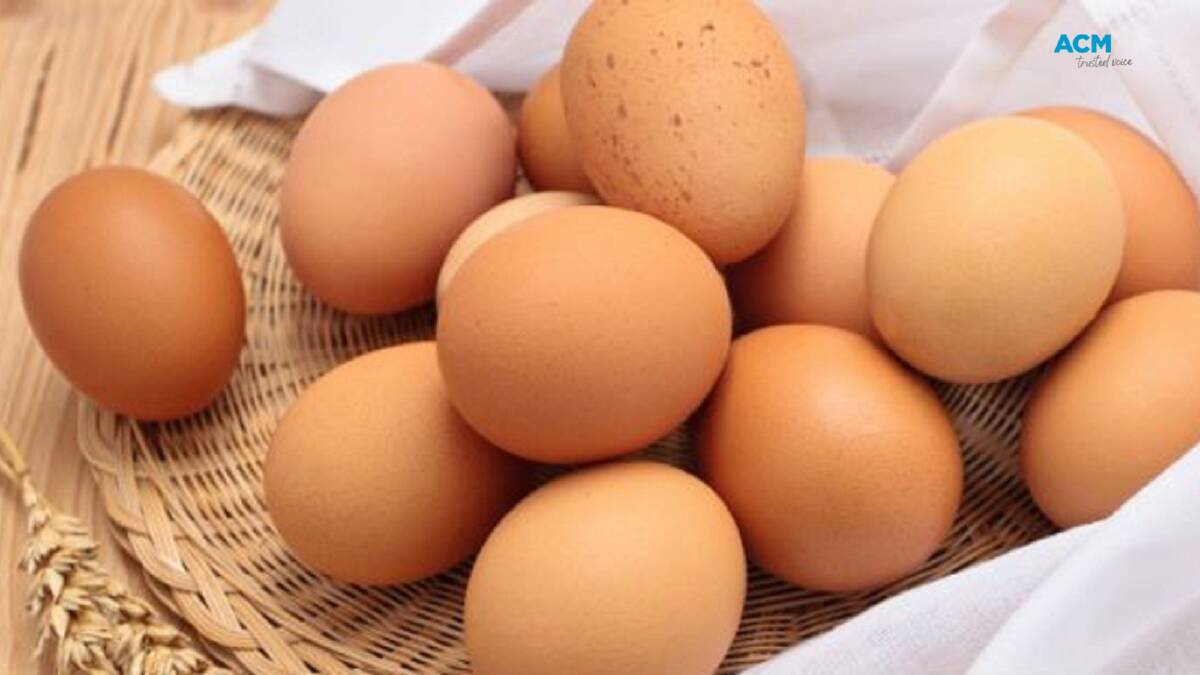Free range eggs with a potential salmonella contamination have been recalled from Woolworths, IGA and some Harris Farm stores in Queensland. File picture 